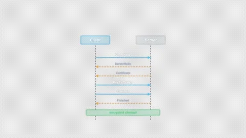 TLS Handshake Clean No Text Protocol Sequence Diagram Animation Alpha 4K Vídeo Stock 339516976