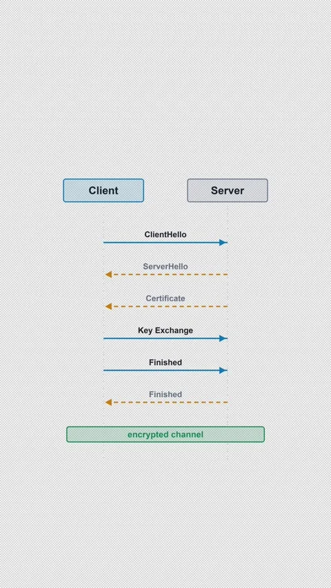 TLS Handshake Clean No Text Protocol Sequence Diagram 4K Vertical 9x16 Light Vidéo 339519014