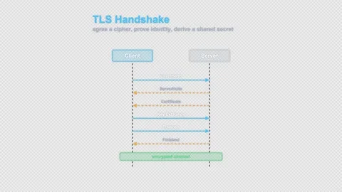 TLS Handshake Labeled Protocol Sequence Diagram Animation Alpha 4K 库存影片 339517125