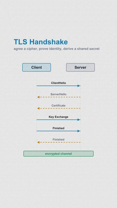 TLS Handshake Labeled Protocol Sequence Diagram Alpha 4K Vertical 9x16 Light Видео 339519030