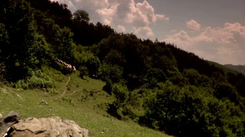 Tmelapse of grazing sheep in the mountains Video stock 83664508