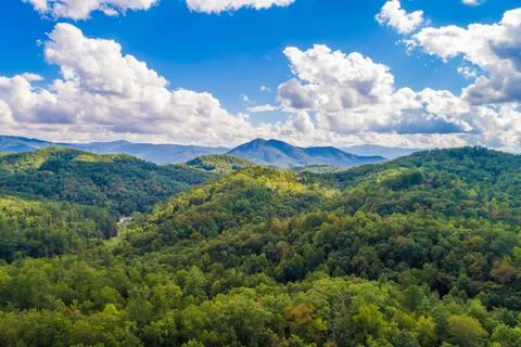 TN Smoky Mountains in summer Stock Photos
