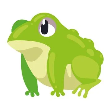Toad animal spring Stock Illustration