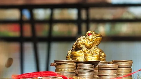 Toad on coins Stock Footage 89455100