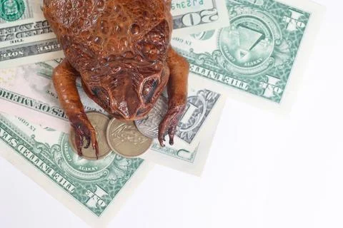 Toad Guarding US Dollars and Coins Stock Photos