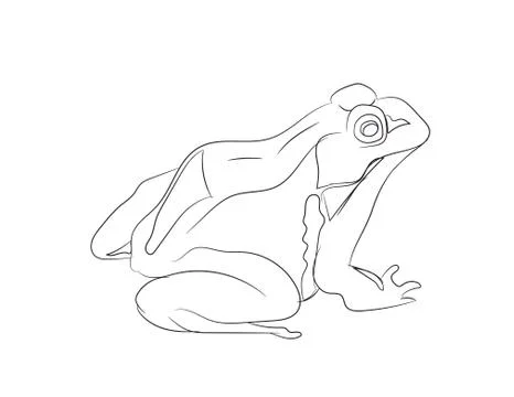 Toad lines, vector, white background Stockillustratie