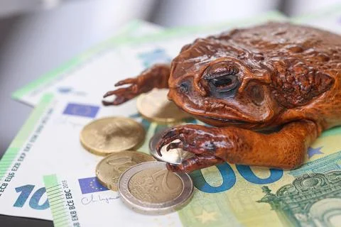 Toad Sitting on Euro Banknotes and Coins 库存照片