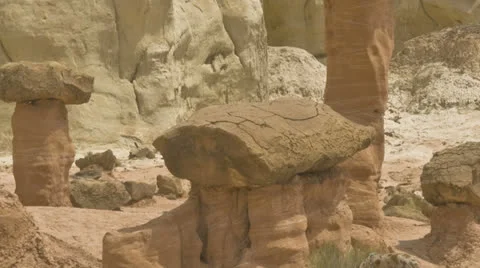 Toad Stools Stock Footage 22510373