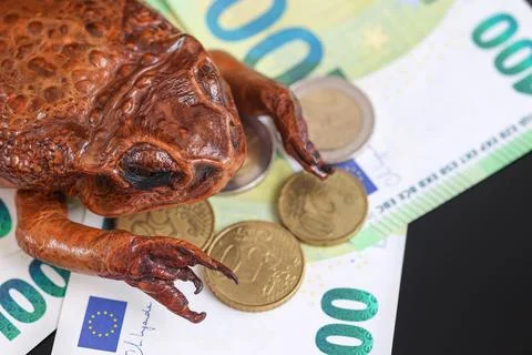 Toad Surrounded by Euro Banknotes and Coins Stock Photos