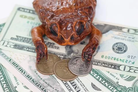 Toad on US Dollars and Coins as Symbol of Greed Stockfoto's