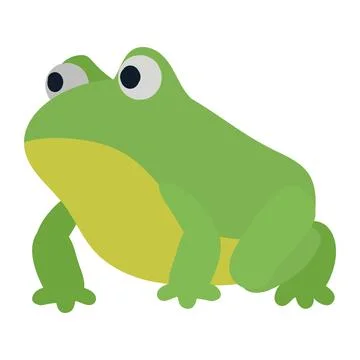 Toad wild animal Stock Illustration