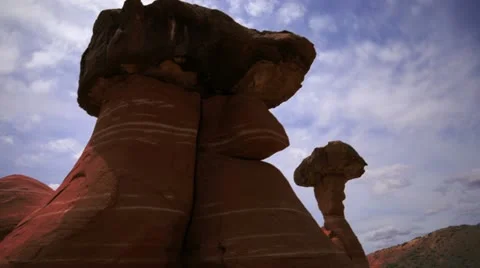 Toadstool 24fps Stock-Footage 12187905