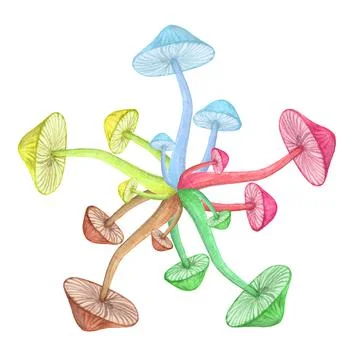 Toadstool circle hippie concept isolated on white background Stock Illustration