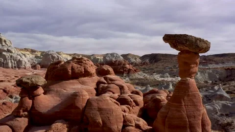 Toadstool Helix Flyby Stock Footage 170188849