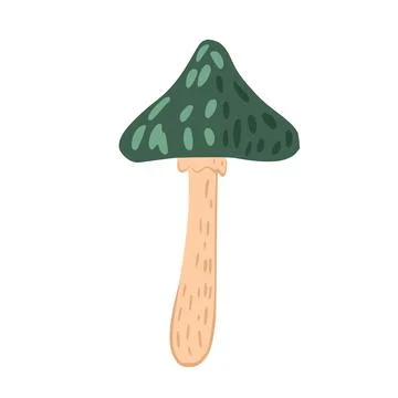 Toadstool isolated on white background. Abstract mushroom sketch hand drawn. Illustrazione stock
