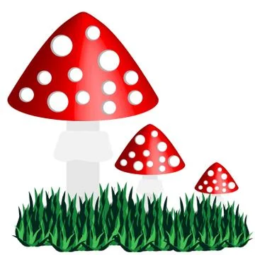 Toadstool isolated on white background Stock Illustration