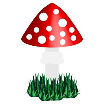 Toadstool isolated on white background Illustrazione stock