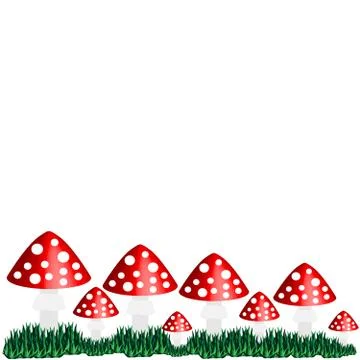 Toadstool isolated on white background. Stock Illustration