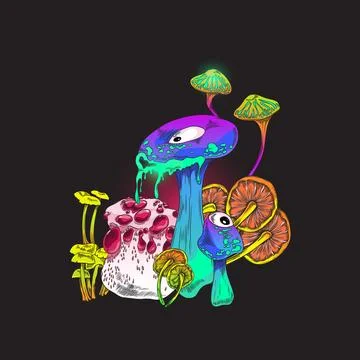 Toadstools and poisonous fly agaric fungi bright vector illustration isolated. Illustrazione stock