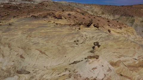 Toadstools with Entrada Layer Stock Footage 170188662