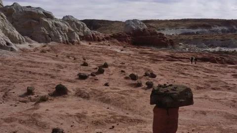 Toadstools Flight with 2 People to top layer Stock Footage 170188822