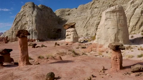 Toadstools Low Level Flight Stock Footage 170188845