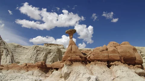 TOADSTOOLS SUMMER SKY 動画素材 51102634