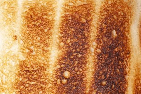 Toast bread texture background close-up 스톡 사진