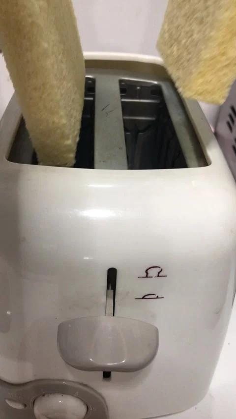 Toast Stock Footage 220691156