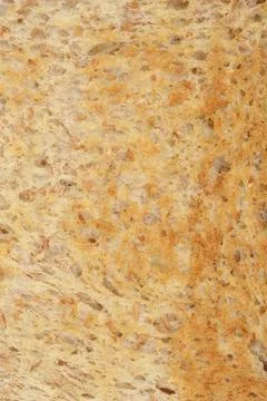 Toasted bread texture Stock Photos