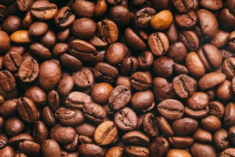Toasted Coffee bean texture. High Quality photo. Stock Photos