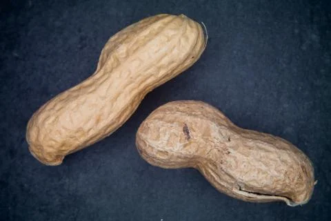 Toasted peanuts on a slate plan seen from above Stock Photos