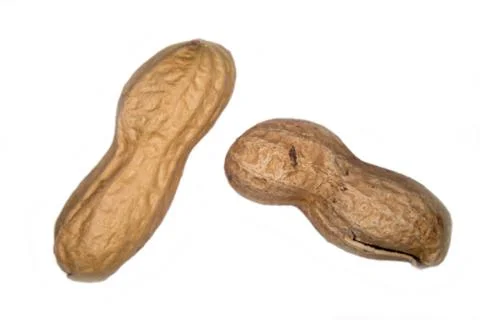 Toasted peanuts on a white white background Stock Photos