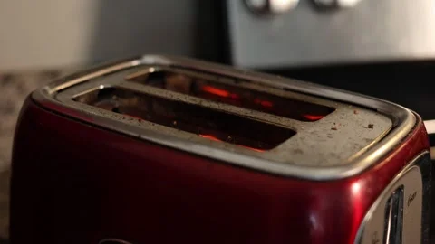 Toasted Toast Pops Up From Toaster Vidéo 308264509