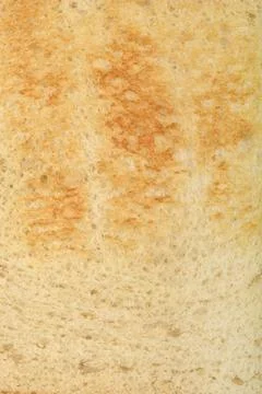 Toasted white bread 스톡 사진
