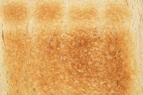 Toasted white bread slice texture Stock Photos