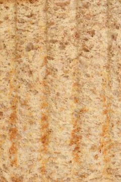 Toasted whole wheat bread slice surface close up Stock Photos