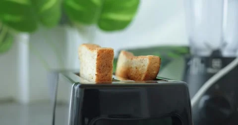 Toaster crafts two fresh, crispy pieces against flower backdrop, epitome Stock Footage 267365962