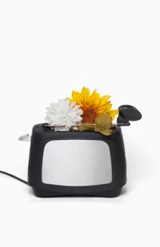 Toaster with flowers Stock Photos