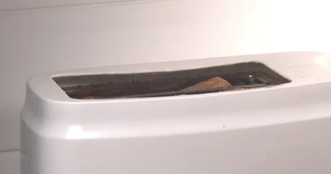 Toaster popping bread on white background Stock Footage 115136361