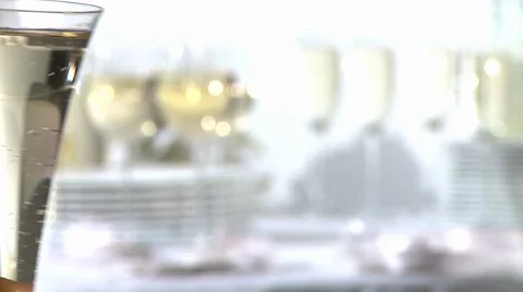 Toasting with champagne flutes Stock Footage 8574875