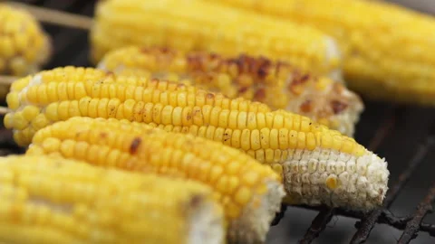 Toasting corn on a hot fire, cooked and ready to eat Stock Footage 134114825