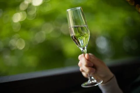 Toasting With Elegance at Twilight Stock Photos