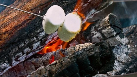 Toasting Marshmallow at Camp Fire Stock Footage 79081652