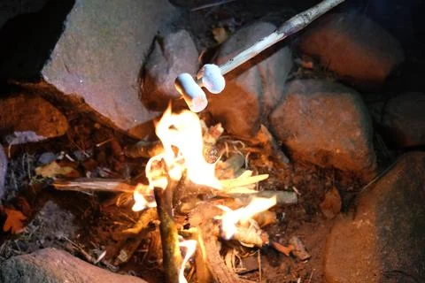 Toasting Marshmallows of the camp fire Stock Photos
