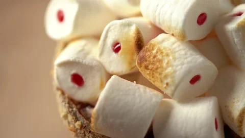 Toasting marshmallows with culinary torch Stock Footage 140730477