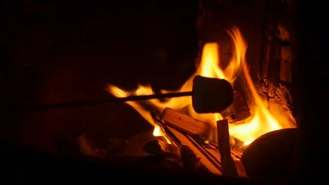 Toasting marshmallows on a fire 動画素材 115055038