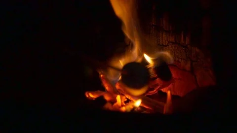 Toasting marshmallows on a fire Stock Footage 115055060