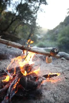 Toasting marshmallows Stock Photos
