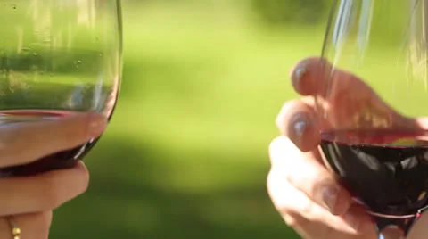 Toasting with red wine Stock Footage 64348565